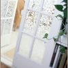 Eden Etched Glass Film Semi-Private